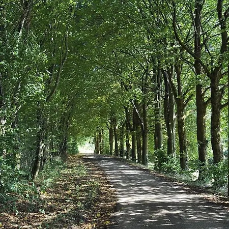 Σπίτι διακοπών Haus Porsche Hellenthal