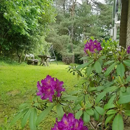 بيت للعطل Haus Porsche هيلينثال
