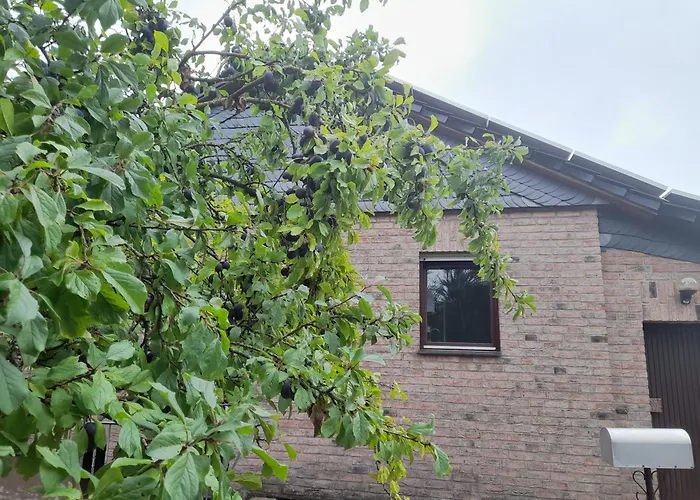 Haus Porsche Feriehus Hellenthal