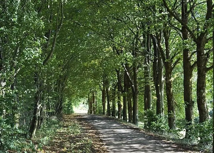 Feriehus Haus Porsche Hellenthal